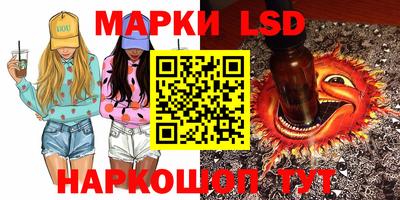 индика Партизанск