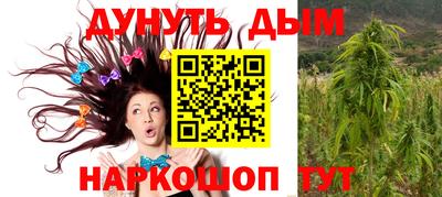 индика Партизанск