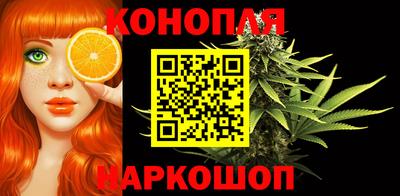 apvp Пугачёв