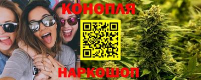 индика Партизанск