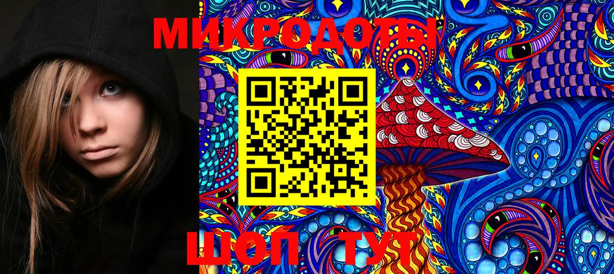 Фурманов  что такое наркотик  Вход с VPN  Псилоцибиновые грибы Psilocybine cubensis 