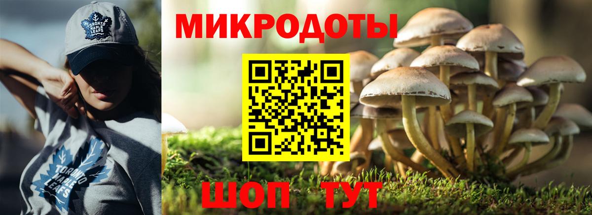 Псилоцибиновые грибы GOLDEN TEACHER Фурманов